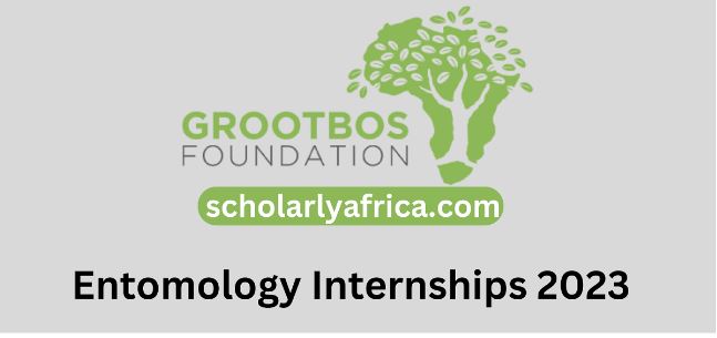 Grootbos Foundation: Internships 2023